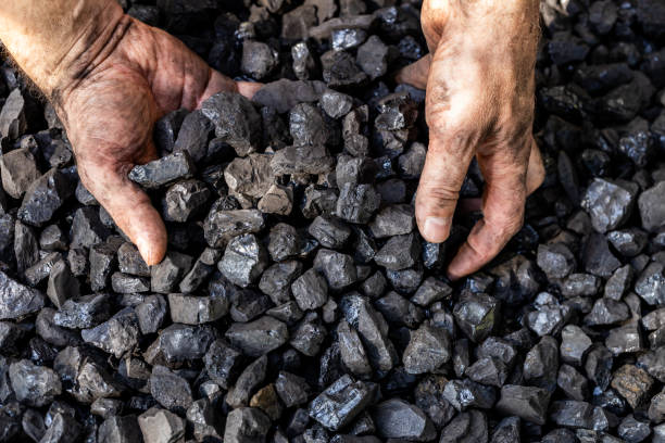 Petroleum Coke (Pet Coke)